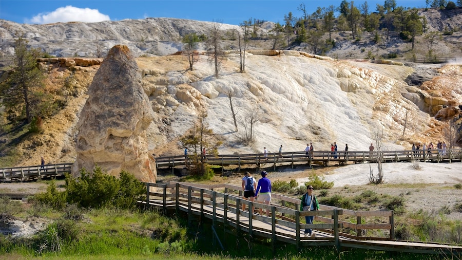 Mammoth Hot Springs