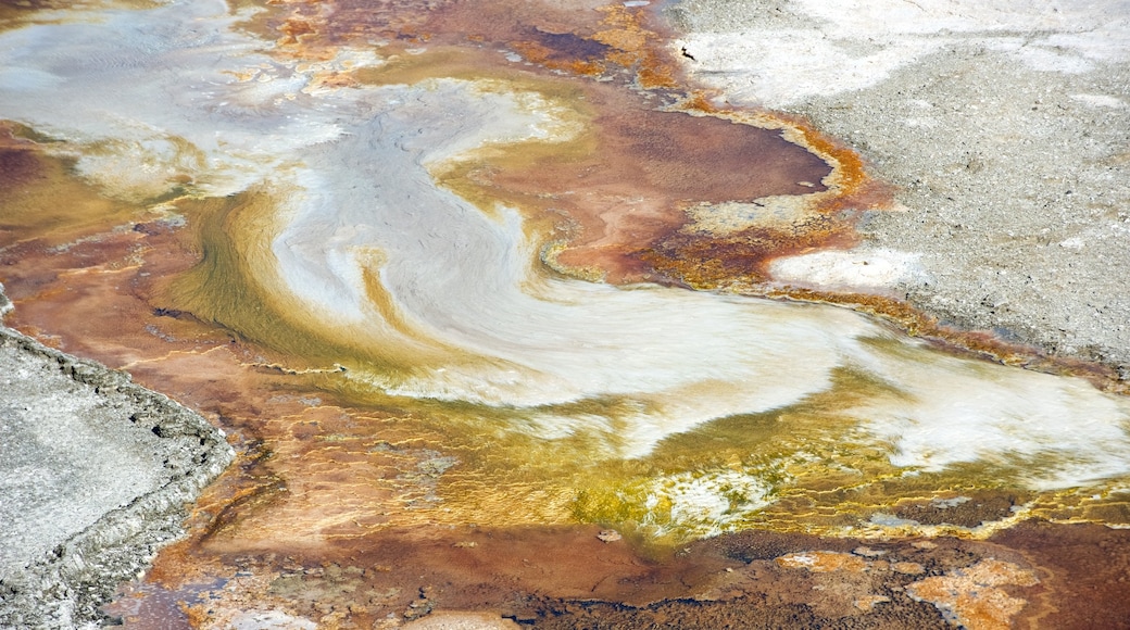 Mammoth Hot Springs featuring a hot spring