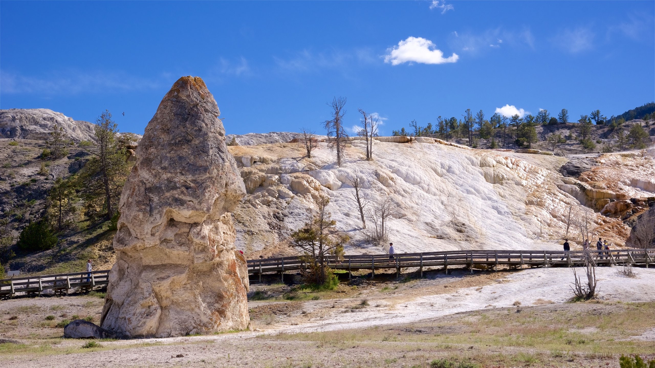 Top 20 Mammoth Hot Springs, Yellowstone National Park cabin rentals Vrbo
