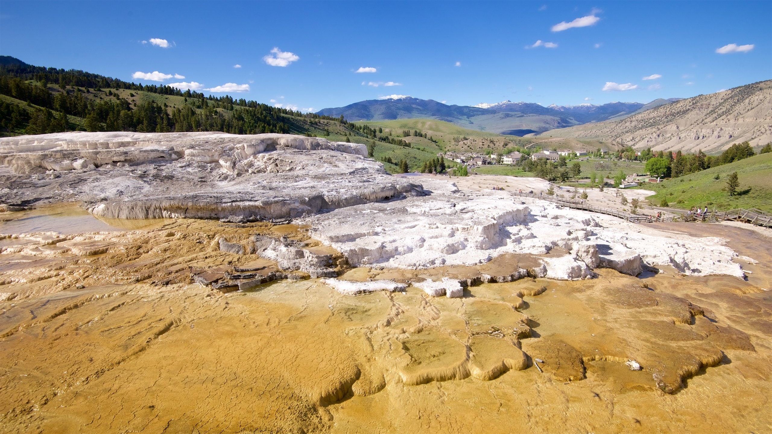 Top 20 Mammoth Hot Springs, Yellowstone National Park cabin rentals Vrbo