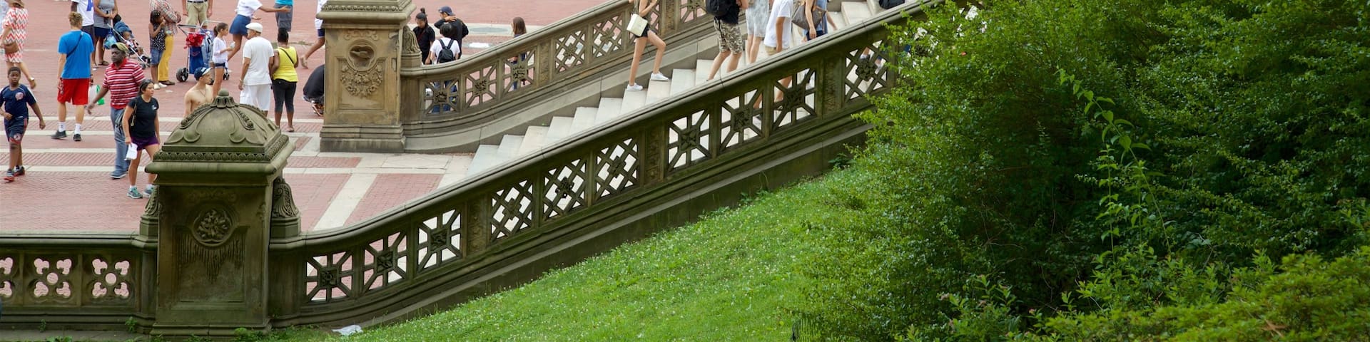 Bethesda Fountain welches beinhaltet Geschichtliches und Park