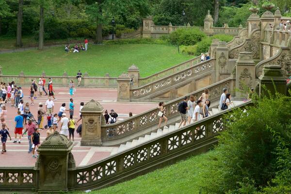 Bethesda Fountain welches beinhaltet Geschichtliches und Park