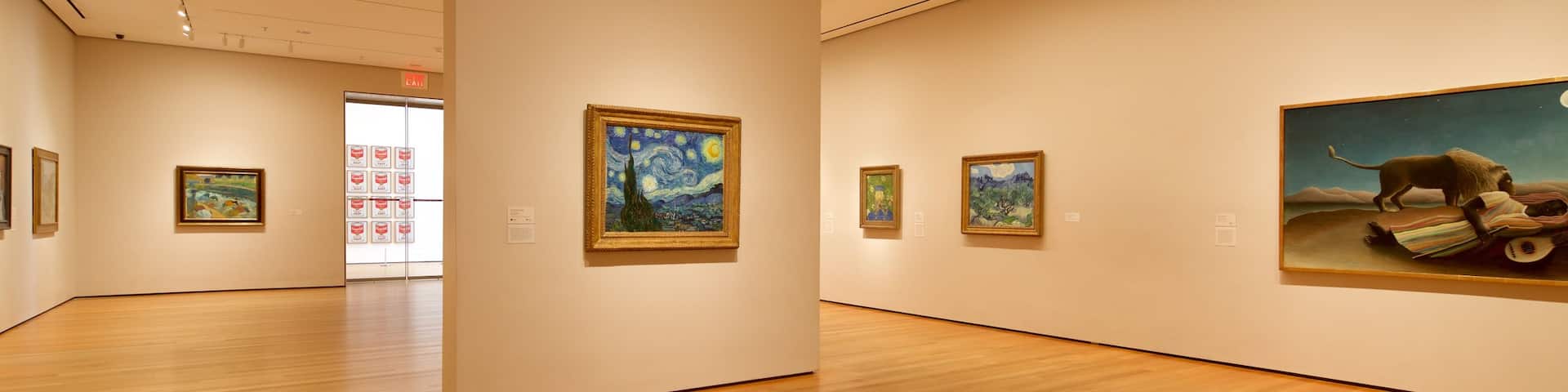 Museo de Arte Moderno
