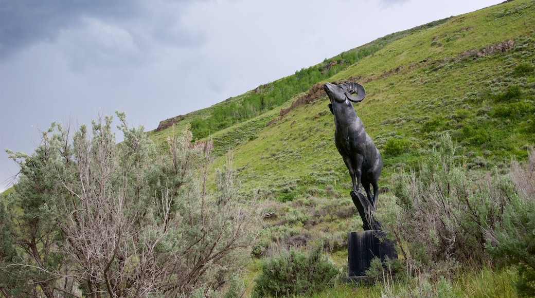 National Wildlife Art Museum som inkluderar en staty eller skulptur och stillsam natur