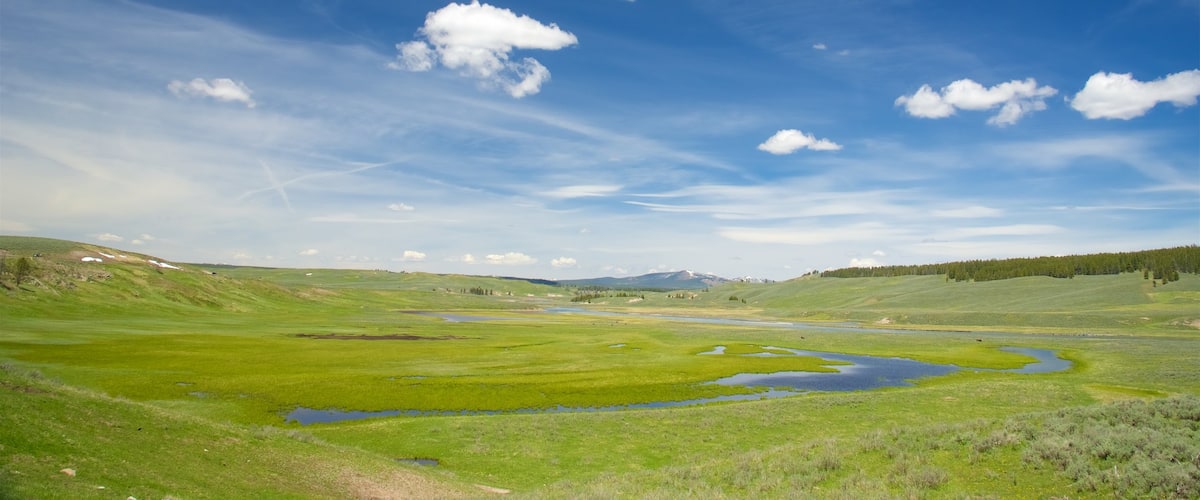 Hayden Valley