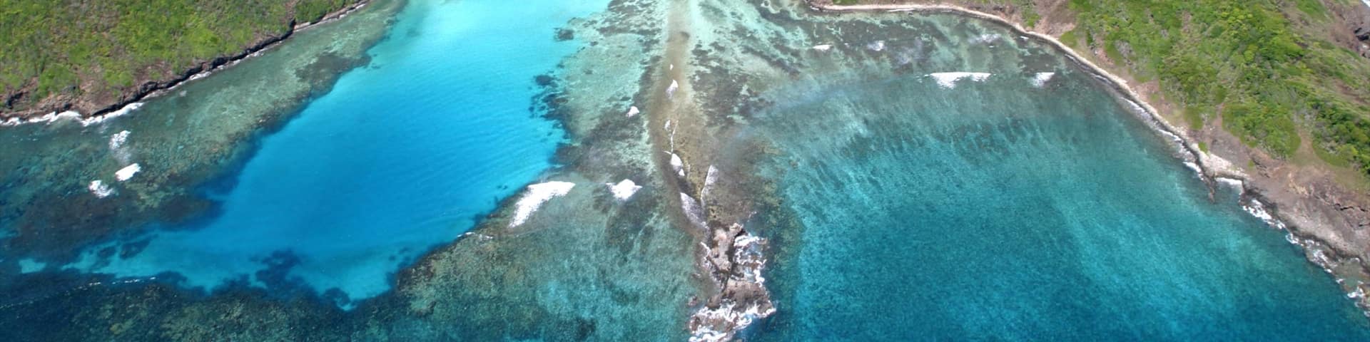 St. Vincent and the Grenadines