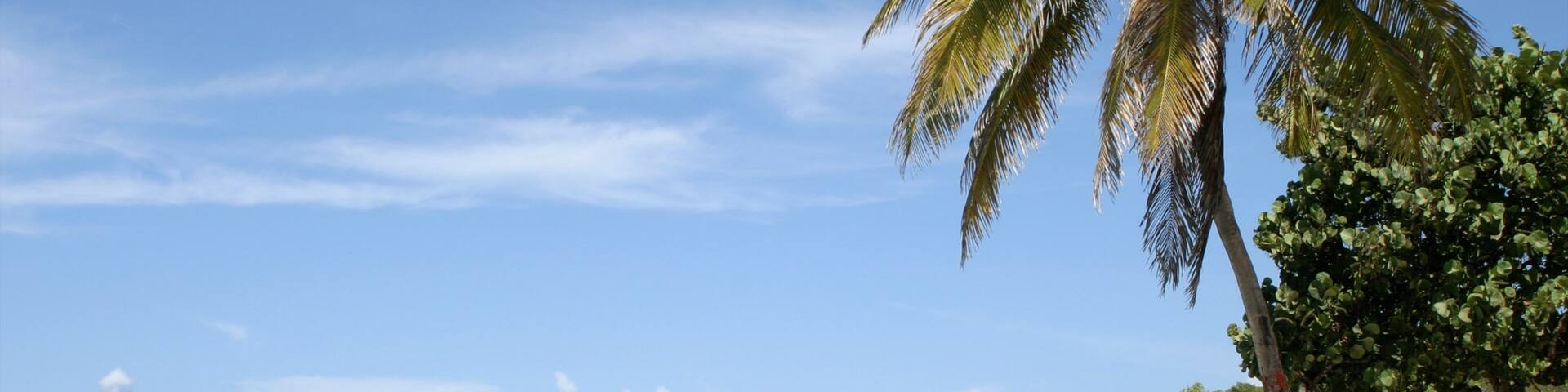 St. Vincent and the Grenadines