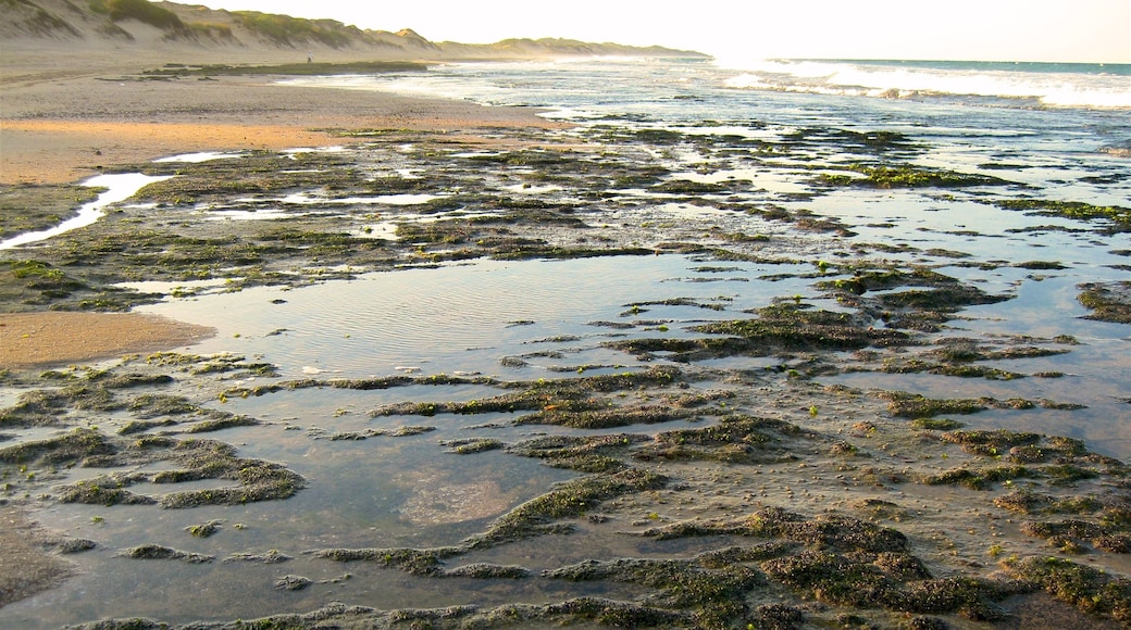 Praia do Tofo inclusief algemene kustgezichten en een strand