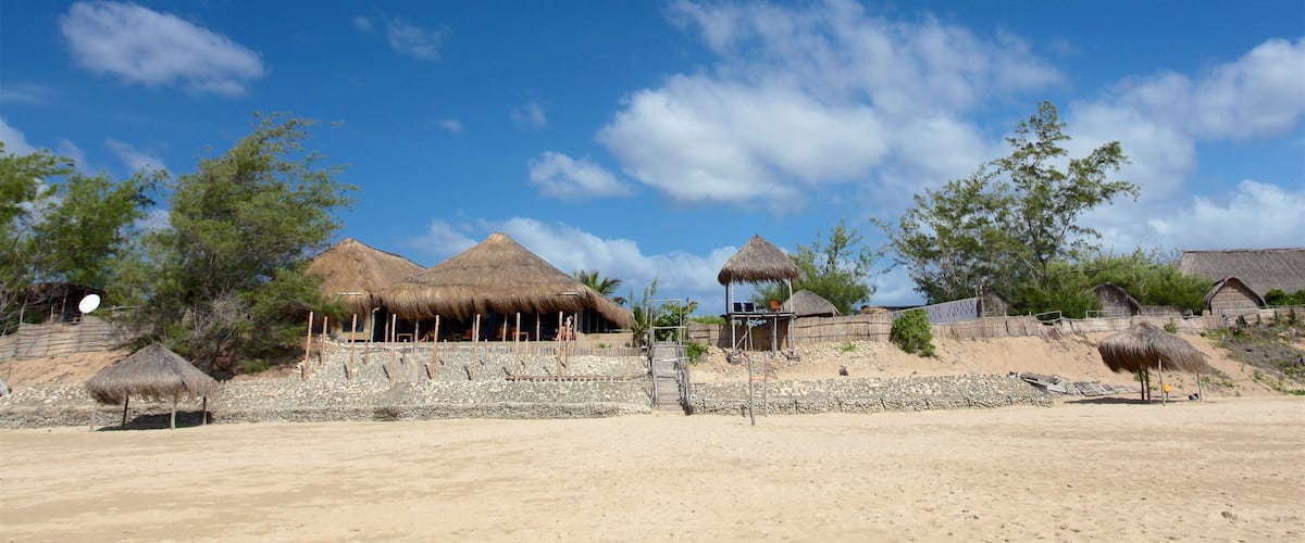 Plage Tofo montrant scènes tropicales, vues littorales et plage