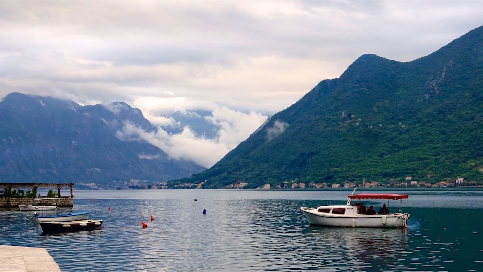 Kotor