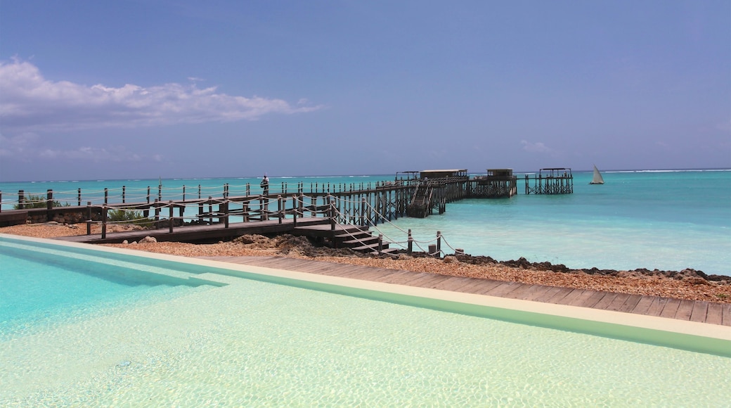 Nungwi Beach presenterar tropisk natur, öfoton och en pool