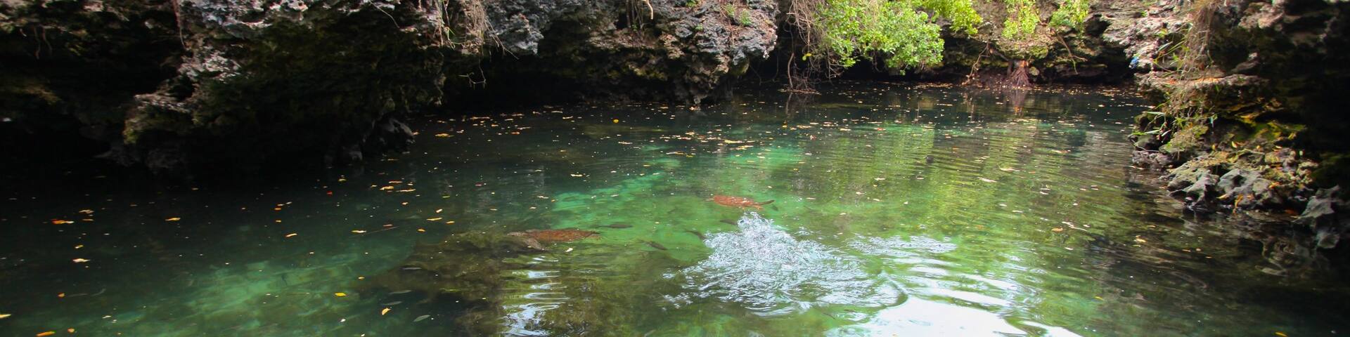 Mnarani Natural Aquarium