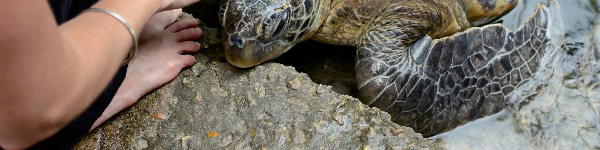 Mnarani Natural Aquarium