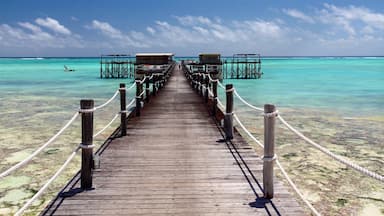 Spiaggia di Nungwi caratteristiche di vista della costa e paesaggio tropicale