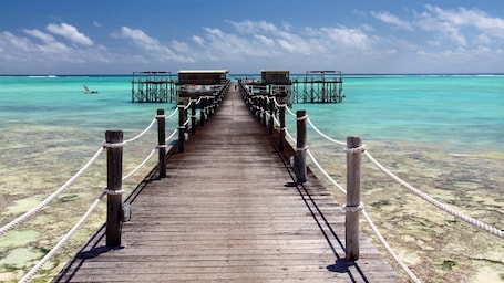 Nungwi Beach showing tropical scenes and general coastal views