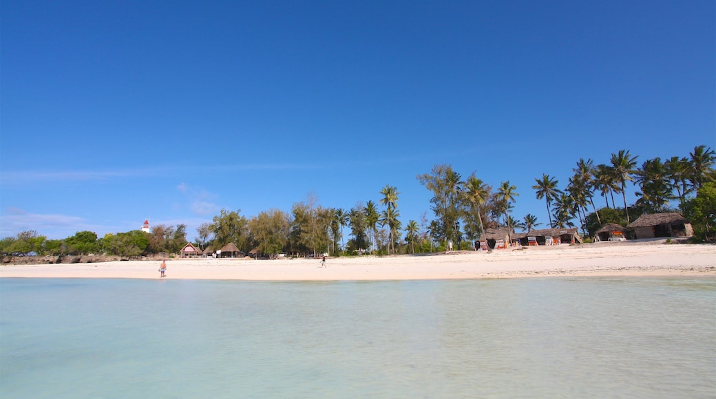 Nungwi Beach presenterar en sandstrand och tropisk natur