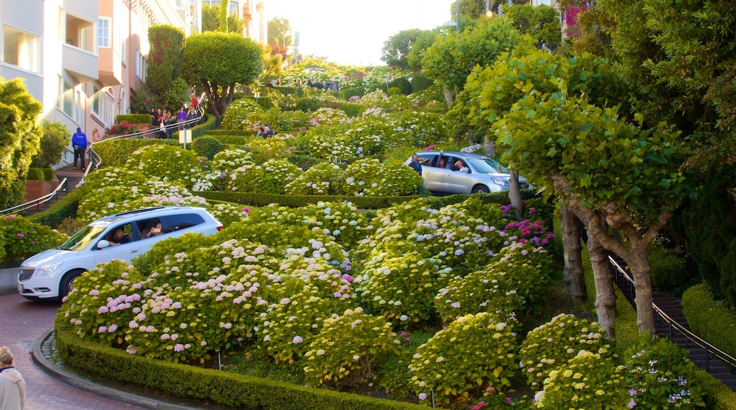 San Francisco