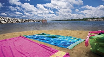 Saginaw das einen Strand und Schwimmen sowie kleine Menschengruppe