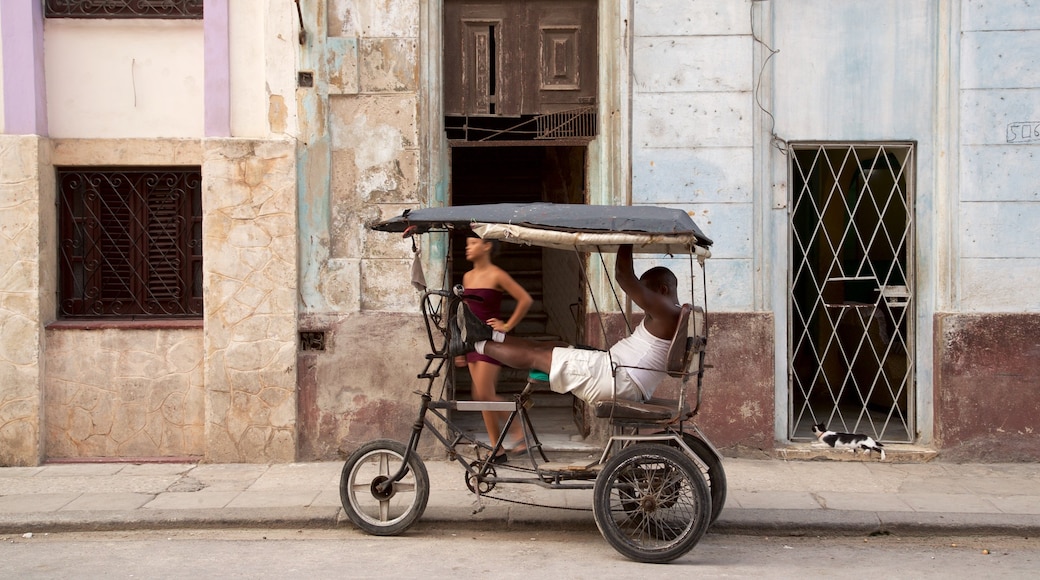 Havana welches beinhaltet Fahrradfahren sowie einzelner Mann