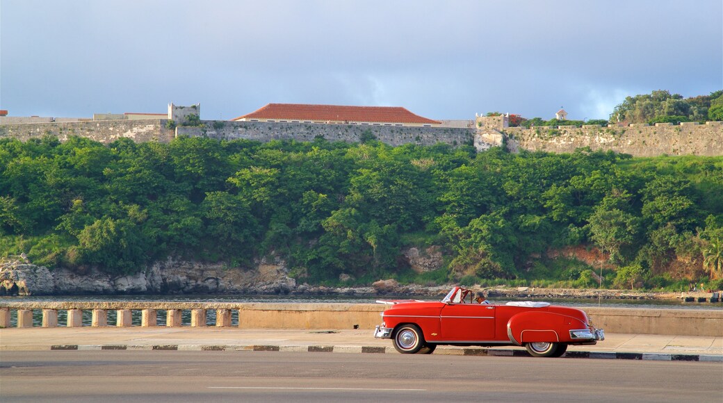 Havana