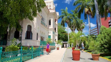 Cienfuegos mostrando un edificio administrativo y arquitectura patrimonial