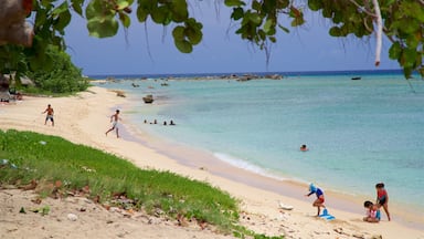 Ancon Beach featuring hiekkaranta, trooppiset näkymät ja uinti