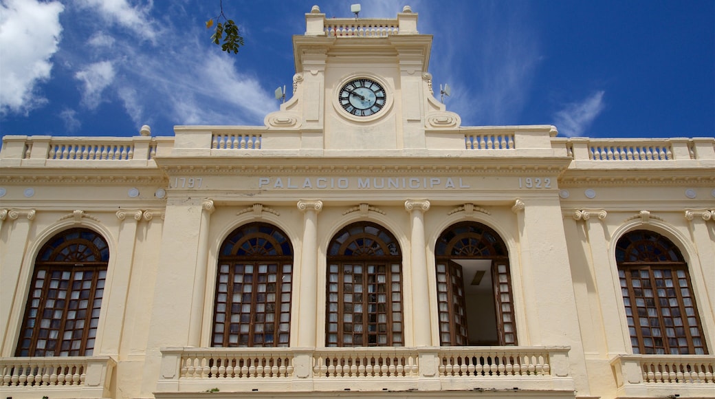 Leoncio Vidal Park bevat historisch erfgoed