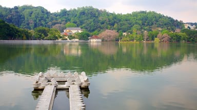 康地 呈现出 房屋 和 湖泊或水池