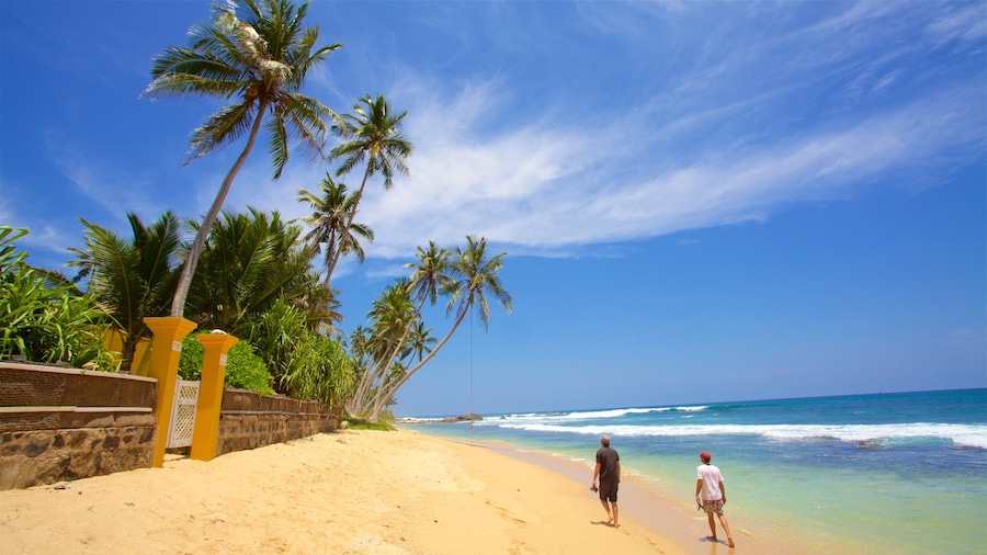 Galle que incluye escenas tropicales y una playa y también un pequeño grupo de personas
