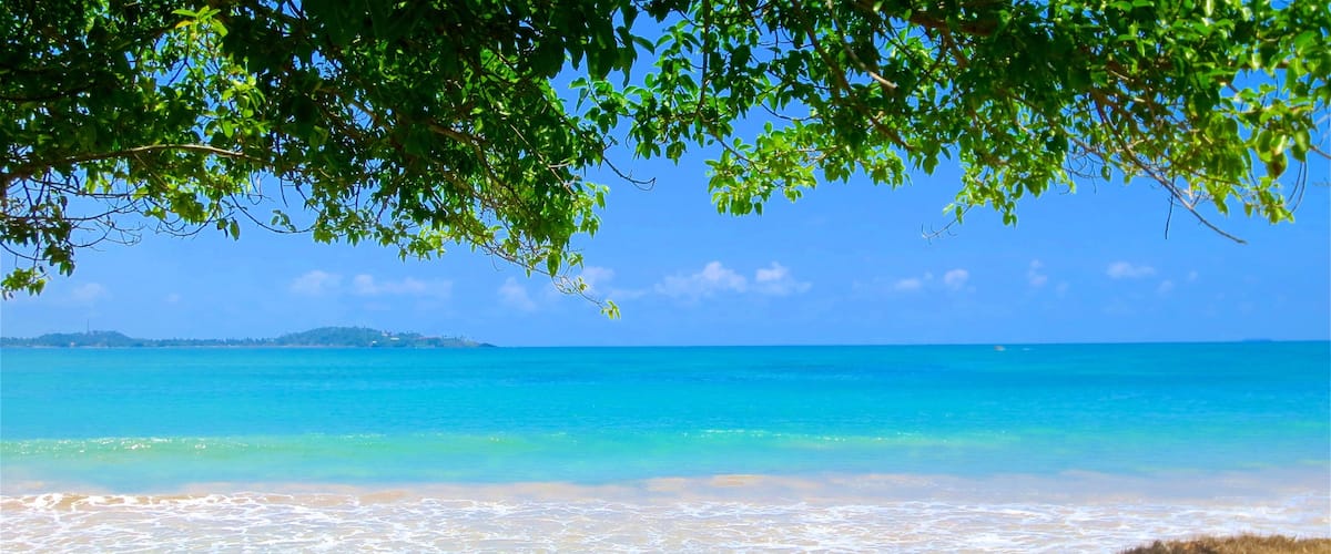 Galle