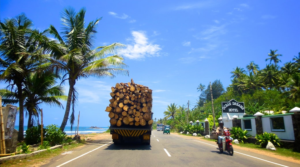 Galle featuring tropical scenes, motorbike riding and general coastal views