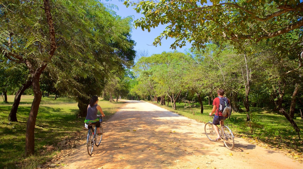 Polonnaruwa ofreciendo ciclismo y jardín y también una pareja