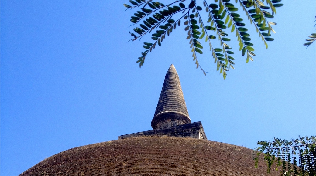 Polonnaruwa showing heritage architecture