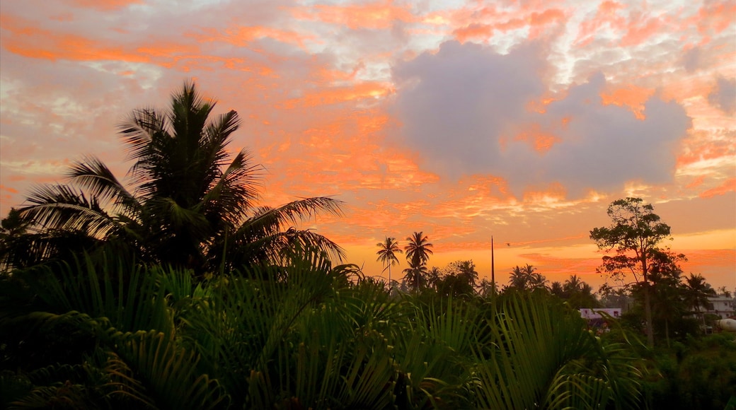 Weligama which includes a sunset and general coastal views