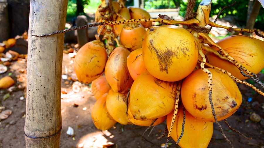 Dambulla mostrando cibo e mercati