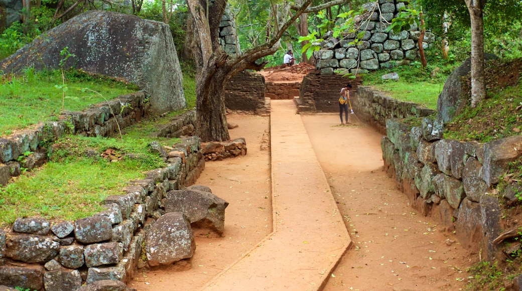 Sigiriya toont een tuin