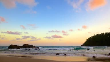 Mirissa ofreciendo un atardecer, vistas de una costa y olas