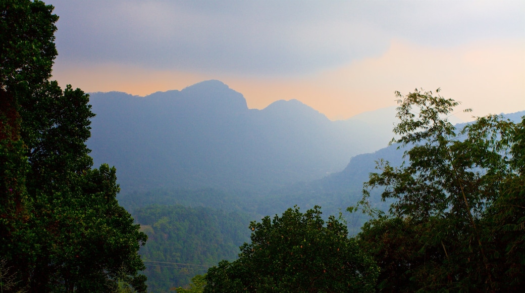 Sri Lanka caratteristiche di nebbia e foschia, paesaggi rilassanti e tramonto