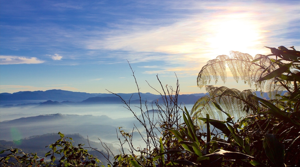 Sri Lanka que incluye un atardecer, niebla y situaciones tranquilas