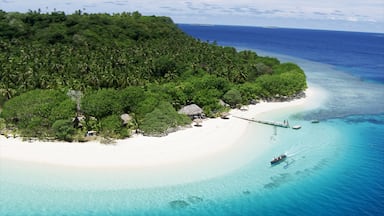 Tonga presenterar en sandstrand, öfoton och tropisk natur