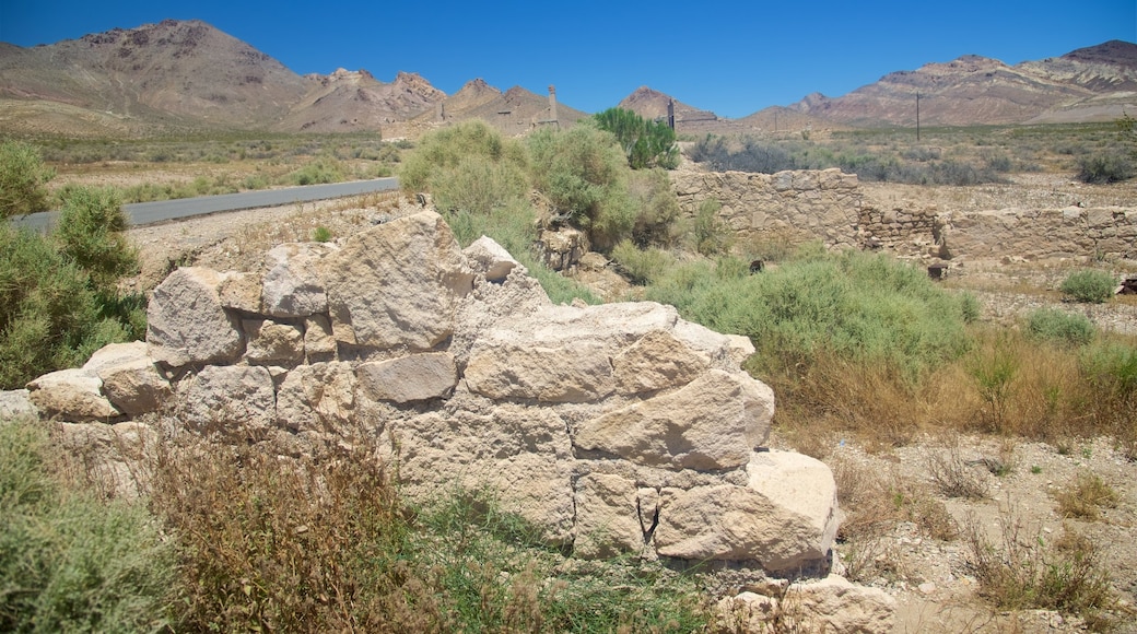 Rhyolite Ghost Town bevat woestijnen