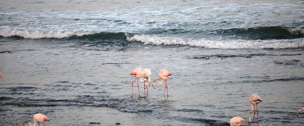 Swakopmund