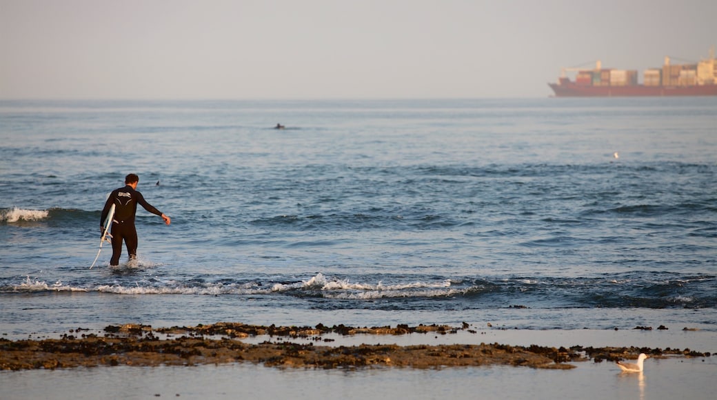 Swakopmund das einen Surfen, allgemeine Küstenansicht und Wellen