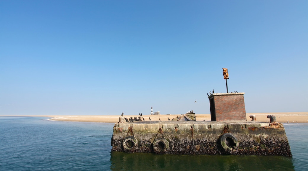 Phare de Pelican Point mettant en vedette plage et vues littorales