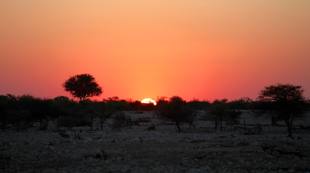 Parque nacional Etosha