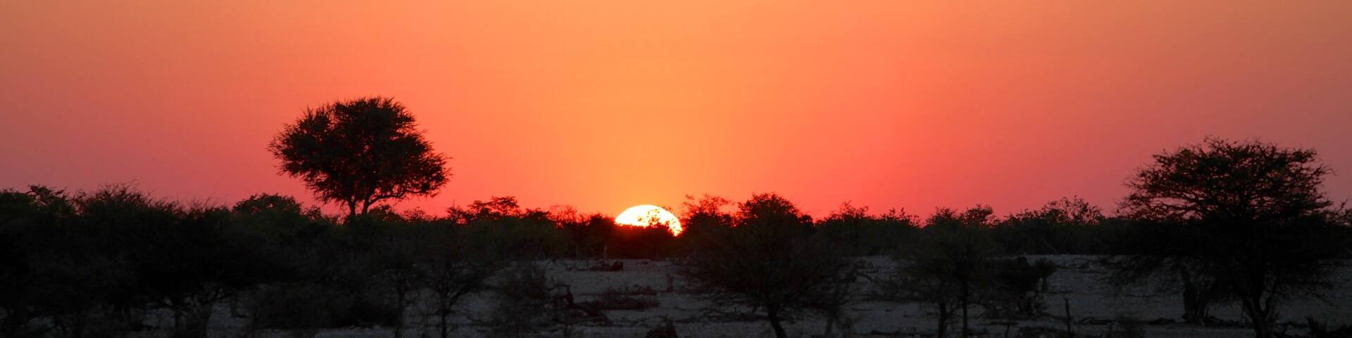Etosha National Park