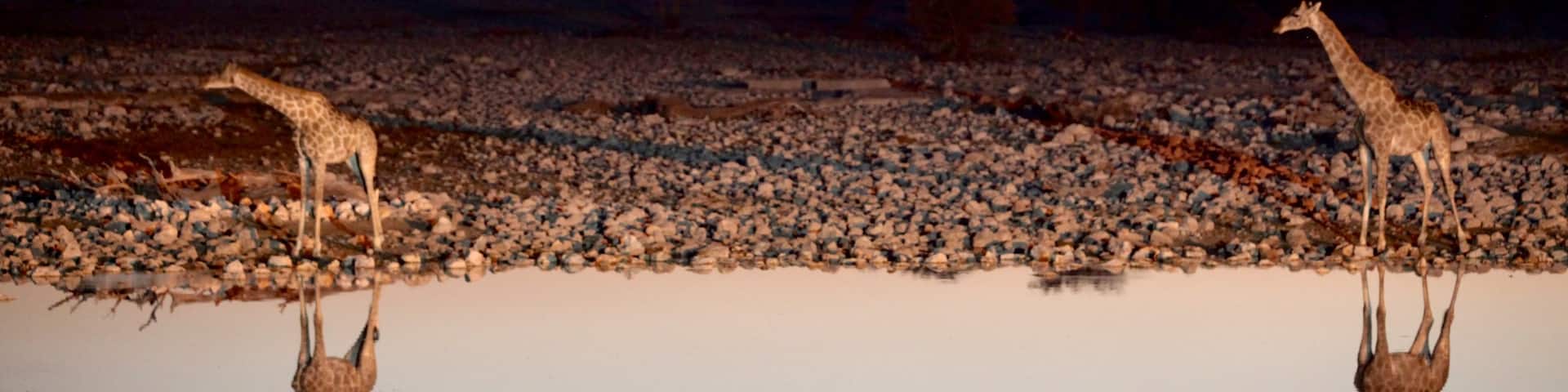 Parque nacional Etosha