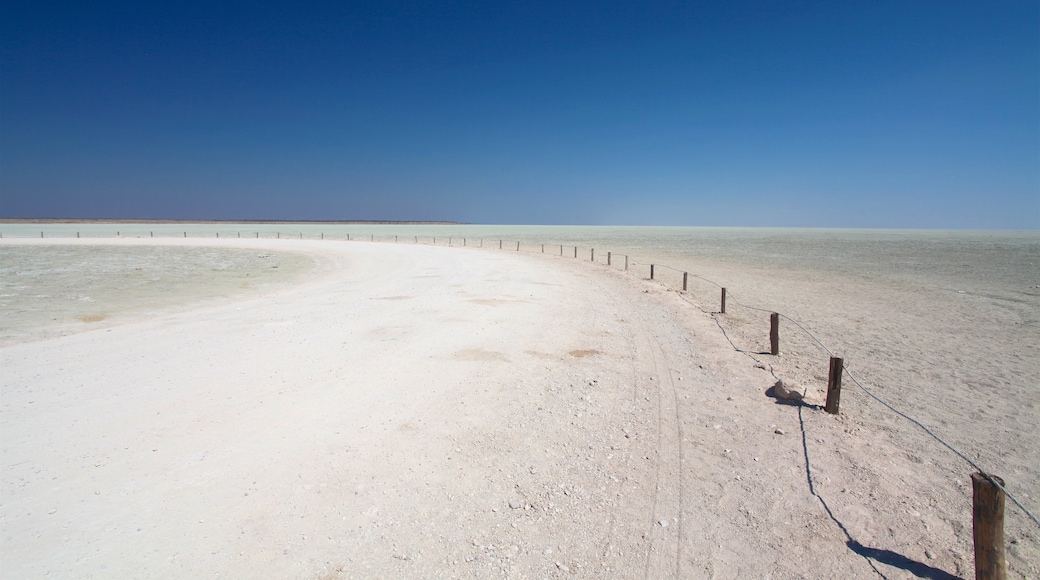 Etosha National Park which includes tranquil scenes