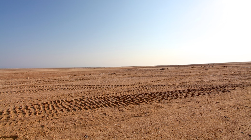 Skeleton Coast National Park