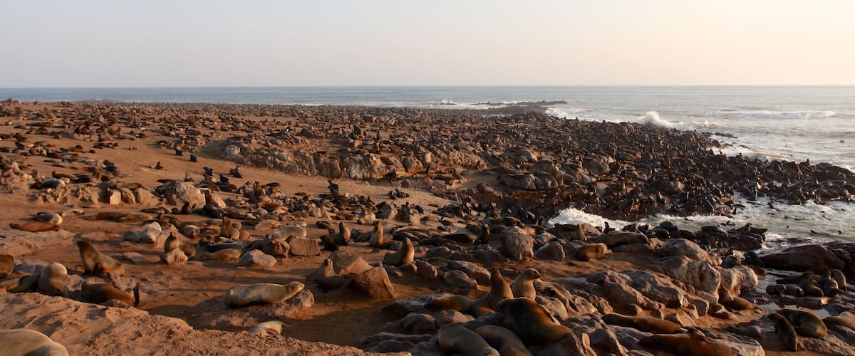Skeleton Coast National Park